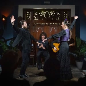 Intim Flamenco Show i hjertet af Triana