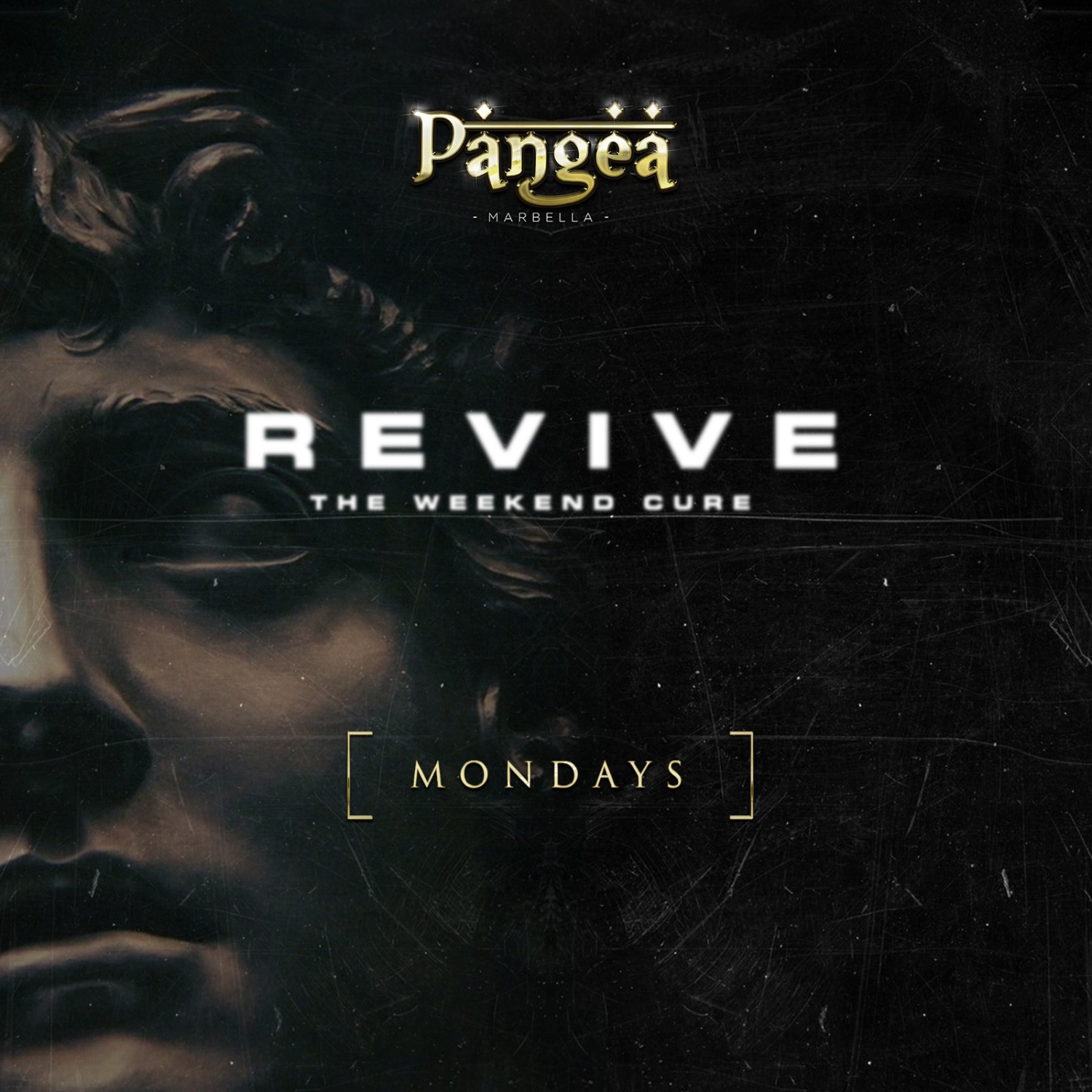Revive at Pangea