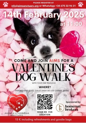 Charity Valentine’s Dog Walk