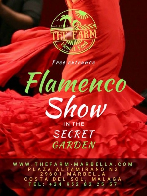 Flamenco Show - Free Entrance