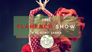 Free Flamenco Show in Marbella