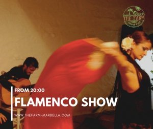 Free Flamenco Show in Marbella