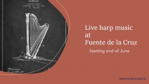 Harp music LIVE!