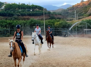 Rusty Riders @ Happy Horse Riding Academy