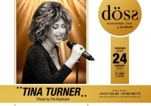 Tina Turner tribute at Doss