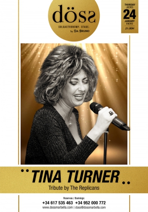 Tina Turner tribute at Doss