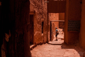 1-Day Excursion to Ouarzazate and Ait Benhaddou