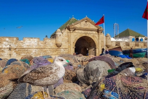 1 Day Trip from Marrakech To Essaouira
