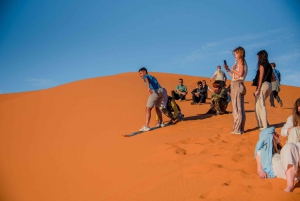 1 Nacht im Merzouga Luxuscamp mit Mahlzeiten und Kamelritt