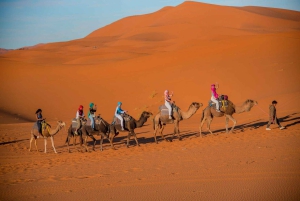 1-Night Merzouga Luxury Camp with Meals & Camel Trek