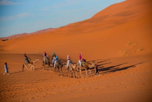 1-Night Merzouga Luxury Camp with Meals & Camel Trek