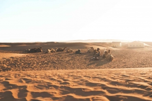2 - Day Desert tour from Marrakech to Zagora