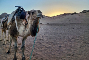 2-Day Excursion Marrakech to Ait Ben Haddou & Zagora Desert