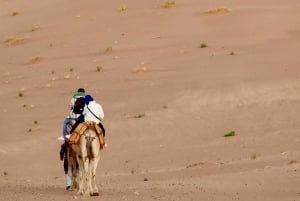 2-Day Luxury Excursion from Marrakech to the Zagora Desert