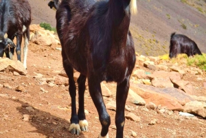 Randonnée de 2 jours, villages berbères et séjour dans la vallée d'Azzaden