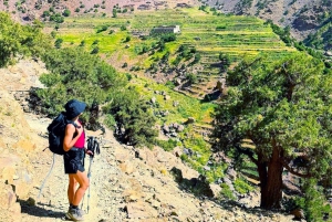 Randonnée de 2 jours, villages berbères et séjour dans la vallée d'Azzaden