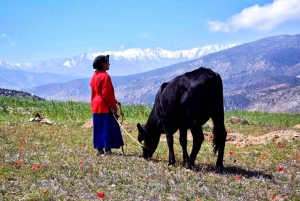 2 Day Trek In Atlas with Locals.. / virgin Villages