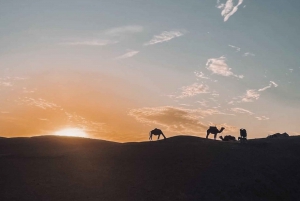 2 Day Zagora Desert & Draa valley Tour with camel
