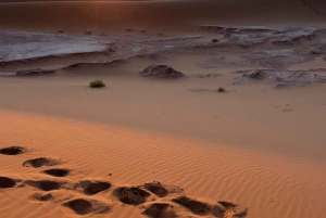 マラケシュ発、ザゴラ砂漠ツアー（2日間）- アイット・ベン・ハドゥ