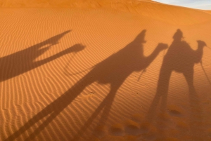 マラケシュ発、ザゴラ砂漠ツアー（2日間）- アイット・ベン・ハドゥ