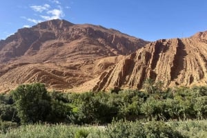 2 päivää: Marrakech, Ait Ben Haddou, Dades-laakso ja apinasormet