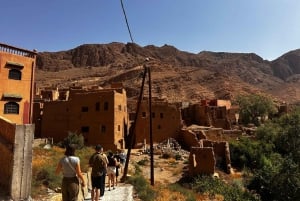 2 päivää: Marrakech, Ait Ben Haddou, Dades-laakso ja apinasormet