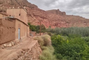 2 päivää: Marrakech, Ait Ben Haddou, Dades-laakso ja apinasormet