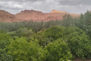 2 päivää: Marrakech, Ait Ben Haddou, Dades-laakso ja apinasormet