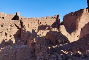 2 dni w Marrakeszu, Ait Ben Haddou, Dolina Róż, Monkey Fingers