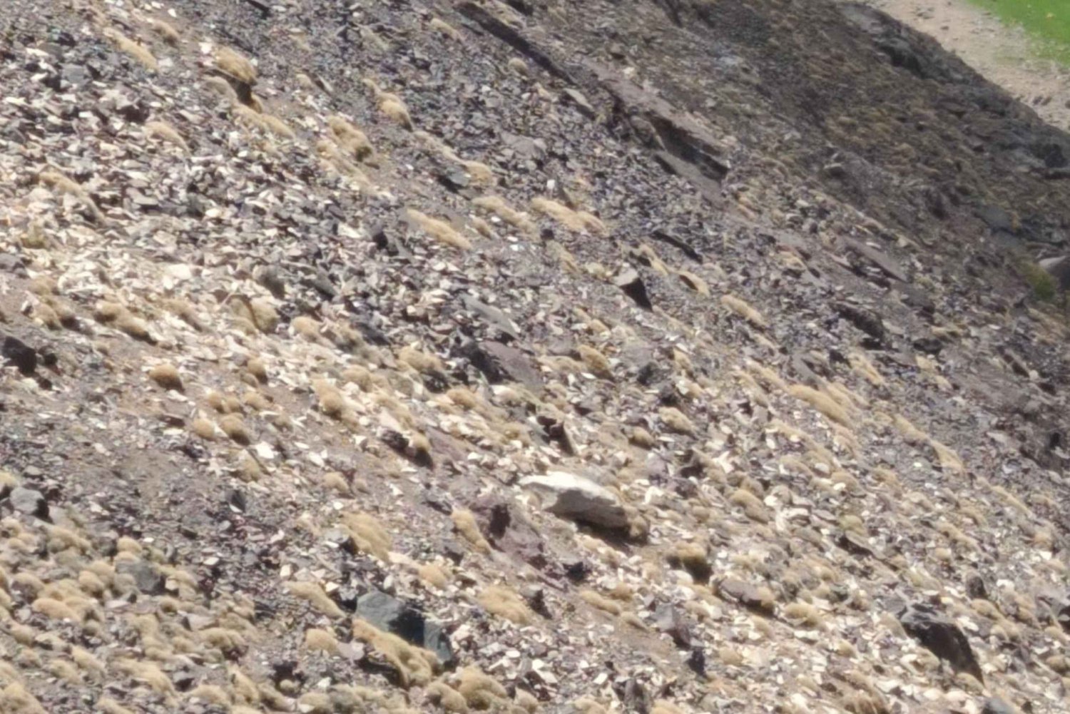 2 dages vandretur på Mount Toubkal