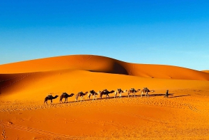 2-dages ørkentur fra Fes til Fes/Marrakech med luksuslejr