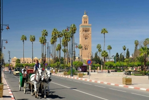 2 Days Tour to Agafay Desert & Marrakech from Agadir