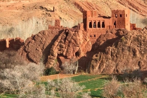 2-Tages-Tour von Marrakesch nach Ouarzazate und ins Dades-Tal