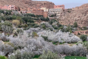 2-Tages-Tour von Marrakesch nach Ouarzazate und ins Dades-Tal
