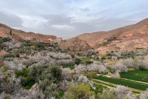 2-Tages-Tour von Marrakesch nach Ouarzazate und ins Dades-Tal