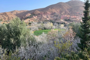 2-Tages-Tour von Marrakesch nach Ouarzazate und ins Dades-Tal