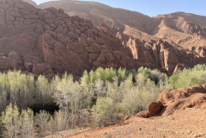 2-Tages-Tour von Marrakesch nach Ouarzazate und ins Dades-Tal