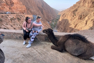 2-Tages-Tour von Marrakesch nach Ouarzazate und ins Dades-Tal