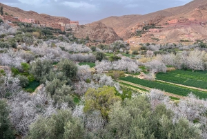 Viagem de 2 dias de Marrakech a Ouarzazate e Vale do Dades