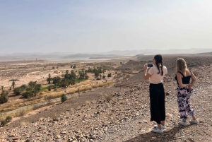Viagem de 2 dias de Marrakech a Ouarzazate e Vale do Dades