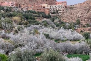 Viagem de 2 dias de Marrakech a Ouarzazate e Vale do Dades