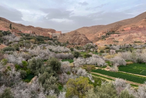 Viagem de 2 dias de Marrakech a Ouarzazate e Vale do Dades