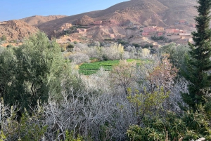 Viagem de 2 dias de Marrakech a Ouarzazate e Vale do Dades