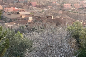 Viagem de 2 dias de Marrakech a Ouarzazate e Vale do Dades