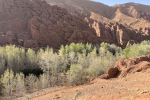 Viagem de 2 dias de Marrakech a Ouarzazate e Vale do Dades