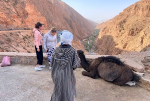 Viagem de 2 dias de Marrakech a Ouarzazate e Vale do Dades