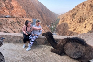 Viagem de 2 dias de Marrakech a Ouarzazate e Vale do Dades