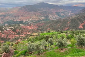 Viagem de 2 dias de Marrakech a Ouarzazate e Vale do Dades