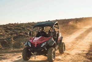 2 tuntia buggyseikkailua Marrakeshin palmunhain läpi