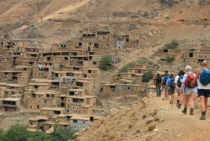 Illallinen ja show Agafayn autiomaassa 1 tunnin mönkijäsafari ja 20 minuutin kameliratsastus